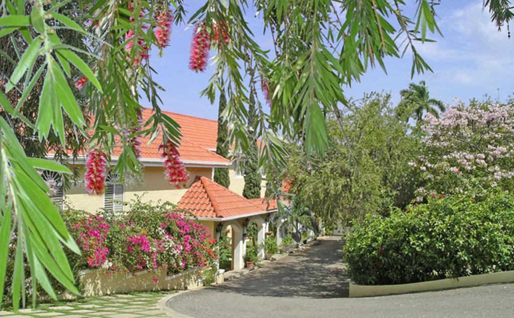Polkerris Bed & Breakfast มอนเทโกเบย์ ภายนอก รูปภาพ
